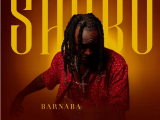 Download Music (MP3): Barnaba – Shobo
